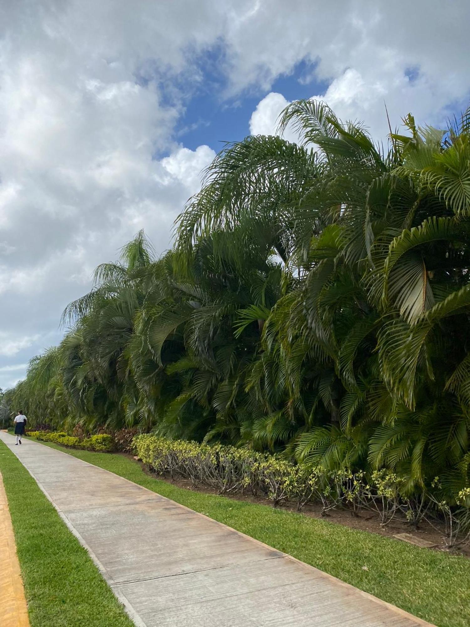 Enjoy Cancun Exterior photo